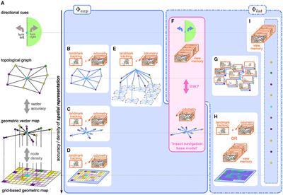 Reinforcement learning as a robotics-inspired framework for insect navigation: from spatial representations to neural implementation